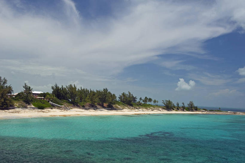 鱼子酱,无人,竖图,筷子,岛,生食,美味,食品,鲔鱼,鱼类,摄影,华贵,海产,彩图,巴哈马群岛