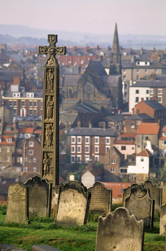 无人,横图,室外,夜晚,水,睡莲,叶子,加勒比海,巴巴多斯,岛,花,花瓣,大西洋,摄影,西印度群岛,彩图