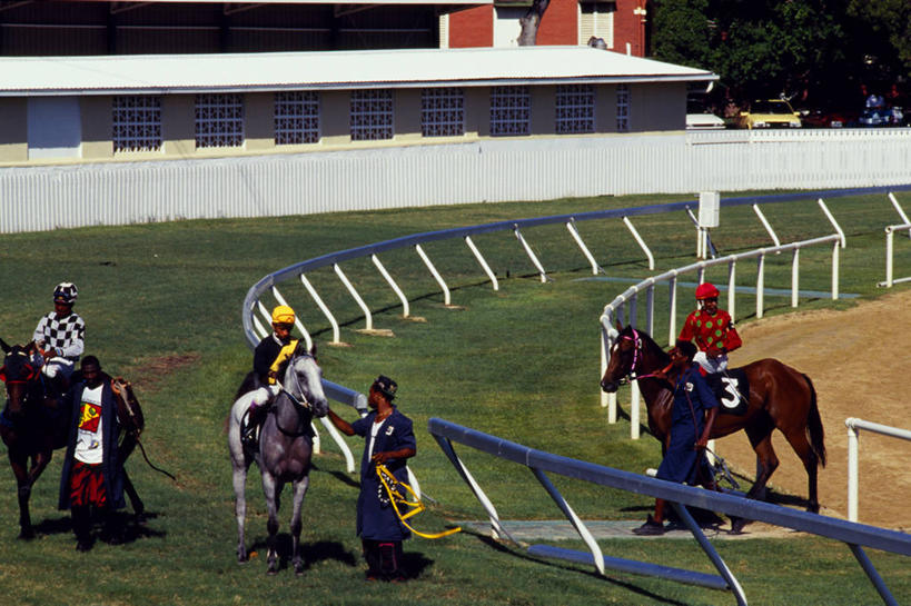 新郎,横图,锻炼,快乐,比赛,运动,竞争,马,巴巴多斯,娱乐,动物,休闲,摄影,西印度群岛,体育运动,带领,体育,赛马,彩图,健身,径赛,策骑者,骑师,赛马骑师