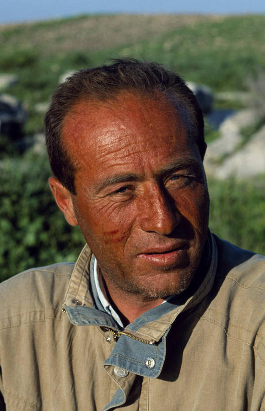 无人,横图,室外,城市,建筑,叙利亚,庭院,古城,首都,摄影,宗教,伊斯兰教,中东,圆顶建筑,清真寺,大清真寺,大马士革,钟,彩图