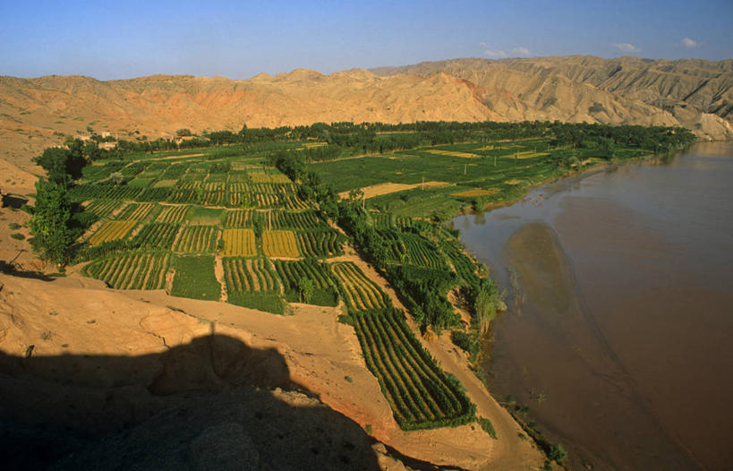 无人,农场,横图,室外,农业,沙漠,黄河,亚洲,田地,绿色,摄影,宁夏回族自治区,彩图,旅行