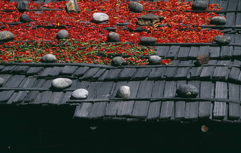 无人,横图,室外,农业,建筑,辣椒,蔬菜,不丹,亚洲,食品,山谷,摄影,瘦身,干的,食品加工厂,喜马拉雅山脉,烘干,彩图,传统文化