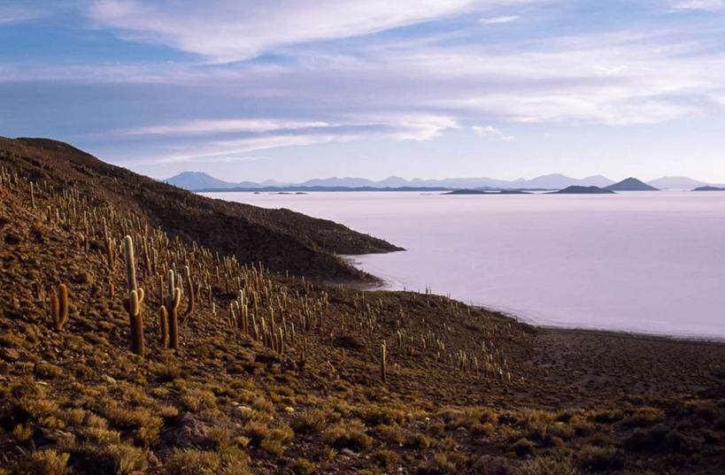 无人,横图,室外,日落,玻利维亚,地形,云,盐,粉色,黄昏,南美,摄影,拉丁美洲,盐湖,地质学,盐滩,乌尤尼盐湖,彩图