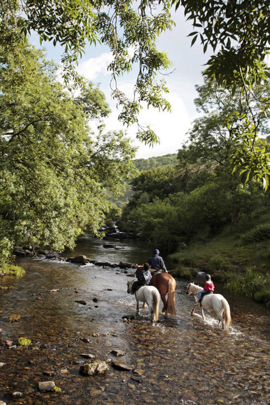 儿童,两个人,兄弟,姐妹,横图,室外,旅游,度假,纯洁,渔业,船,英国,欧洲,行人,游客,游人,停靠,螃蟹,墙,海岸线,城镇,娱乐,英格兰,路人,旅客,享受,休闲,放松,可爱,童年,童趣,摄影,接,停泊,童真,烂漫,无邪,英国文化,过客,天真,男孩,男性,女孩,女性,海滩,休闲活动,彩图,钓鱼,旅行,海港,西南英格兰