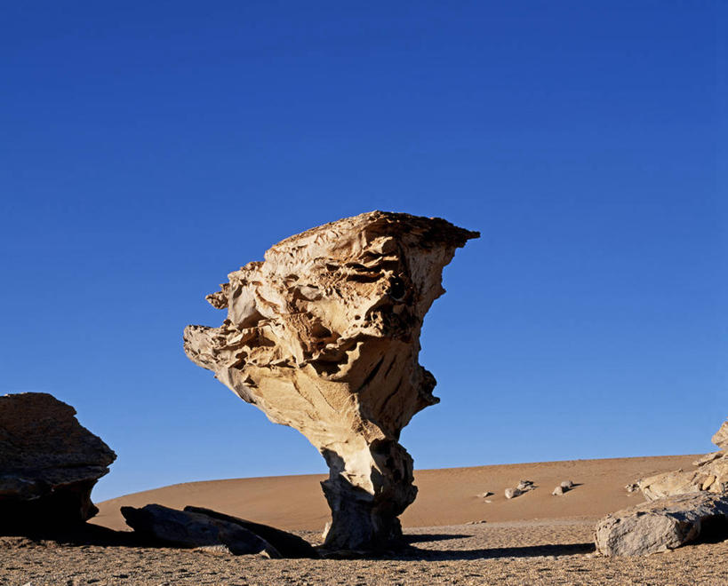 成年人,跑,横图,运动,沙漠,哺乳动物,野生动物,叙利亚,骆驼,动物,摄影,中东,巴尔米拉,男人,男性,彩图,旅行,策骑者,骑师,赛马骑师,贝多因人