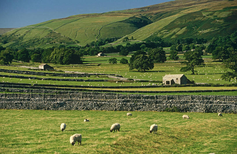 无人,码头,横图,渔业,港口,船,英国,欧洲,加拿大,海湾,历史,英格兰,工业,摄影,北美,北美洲,西欧,美洲,北亚美利加洲,亚美利加洲,安大略省,安省,北约克郡,彩图,旅行,摆渡口,埠头,渡口,渡头,港湾,海港,货运码头,口岸,商港,惠特比,杜林区