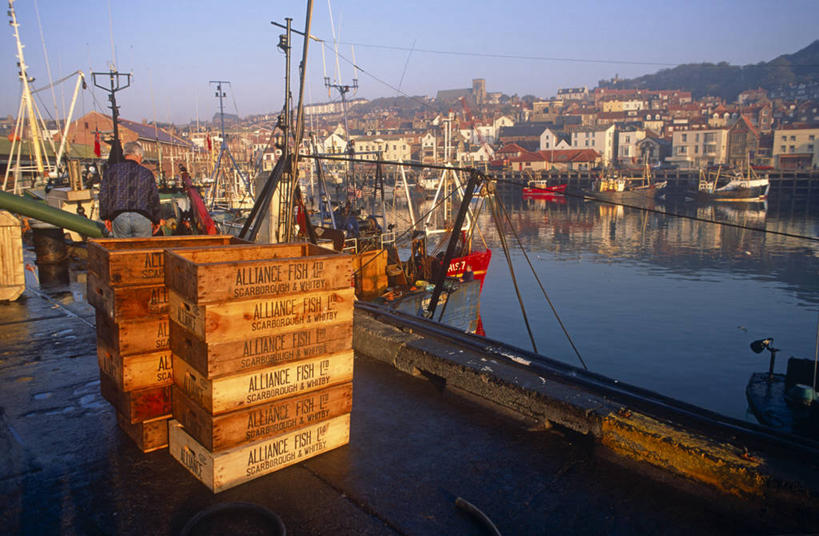 无人,码头,横图,渔业,港口,船,英国,欧洲,加拿大,海湾,历史,英格兰,工业,摄影,北美,北美洲,西欧,美洲,北亚美利加洲,亚美利加洲,安大略省,安省,北约克郡,彩图,旅行,摆渡口,埠头,渡口,渡头,港湾,海港,货运码头,口岸,商港,惠特比,杜林区