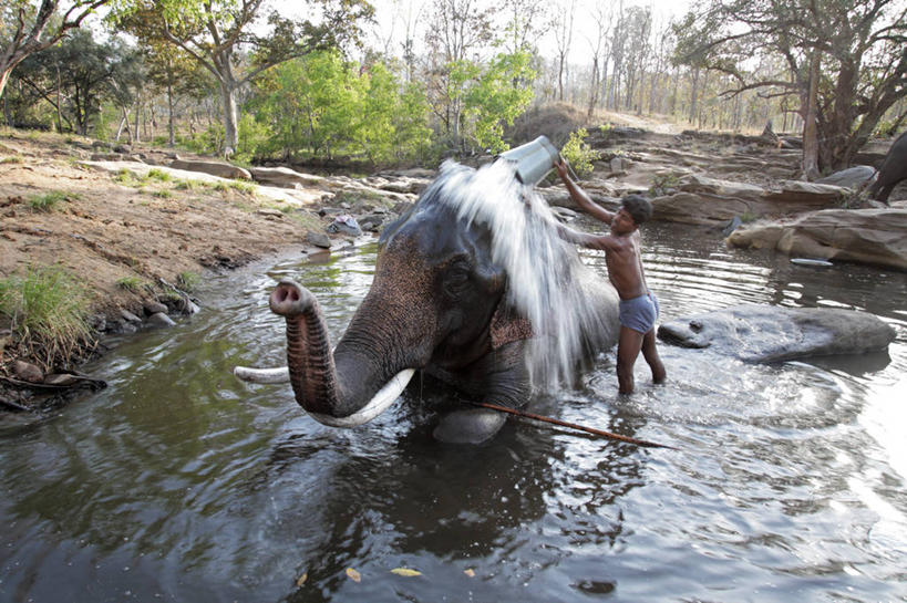 无人,横图,室外,制服,建筑,台湾,宏伟,历史,摄影,纪念,留念,保护,神殿,宗教建筑,怀念,彩图