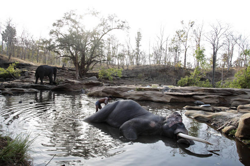 无人,横图,室外,制服,建筑,台湾,宏伟,历史,摄影,纪念,留念,保护,神殿,宗教建筑,怀念,彩图