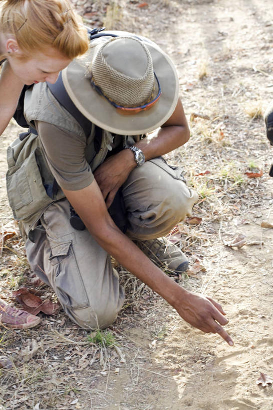 无人,横图,鸟,印度,亚洲,鸟类,动物,摄影,琵鹭,粉红琵鹭,玫瑰琵鹭,彩图,旅行