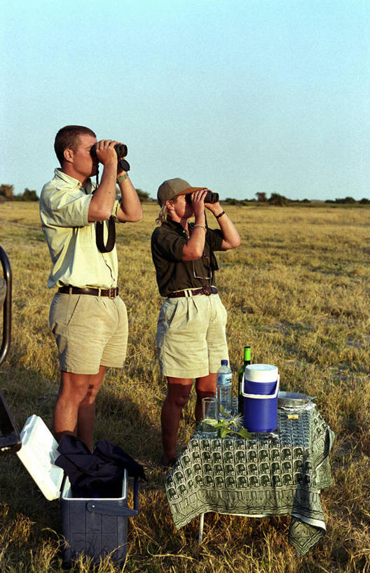 无人,横图,室外,哺乳动物,野生动物,非洲,博茨瓦纳,捕食,自然,动物,休息,放松,摄影,考古学,非洲野狗,奥卡万戈三角洲,野生动物保护区,自然保护区,莫瑞米野生动物保护区,睡觉,彩图,小睡