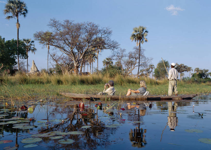 无人,横图,黑白,室外,河流,水,斑马,哺乳动物,野生动物,非洲,博茨瓦纳,喝,树,饮料,动物,摄影,考古学,沼泽,奥卡万戈三角洲,野生动物保护区,喂养,自然保护区,莫瑞米野生动物保护区,彩图