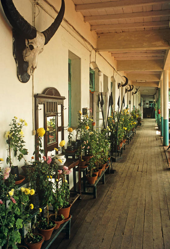 无人,竖图,建筑,孟加拉国,印度,亚洲,大理石,摄影,宗教,南亚,维多利亚女王纪念碑,孟加拉人民共和国,加尔各答,彩图,旅行,密特里达提六世