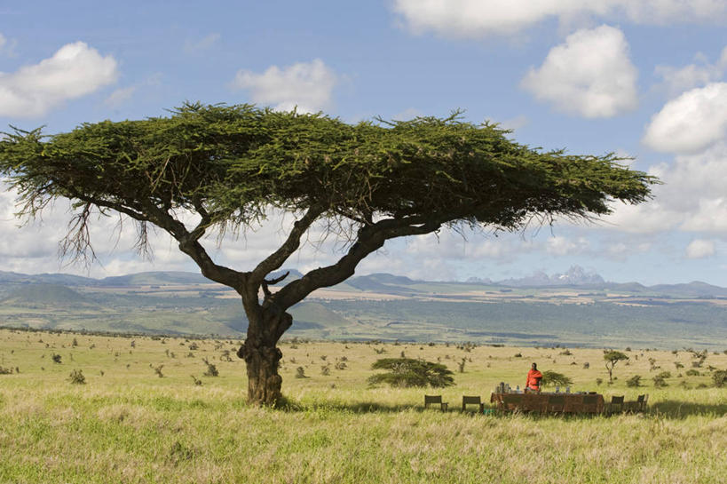无人,横图,室外,午餐,非洲,肯尼亚,摄影,灌木,露营,彩图,旅行