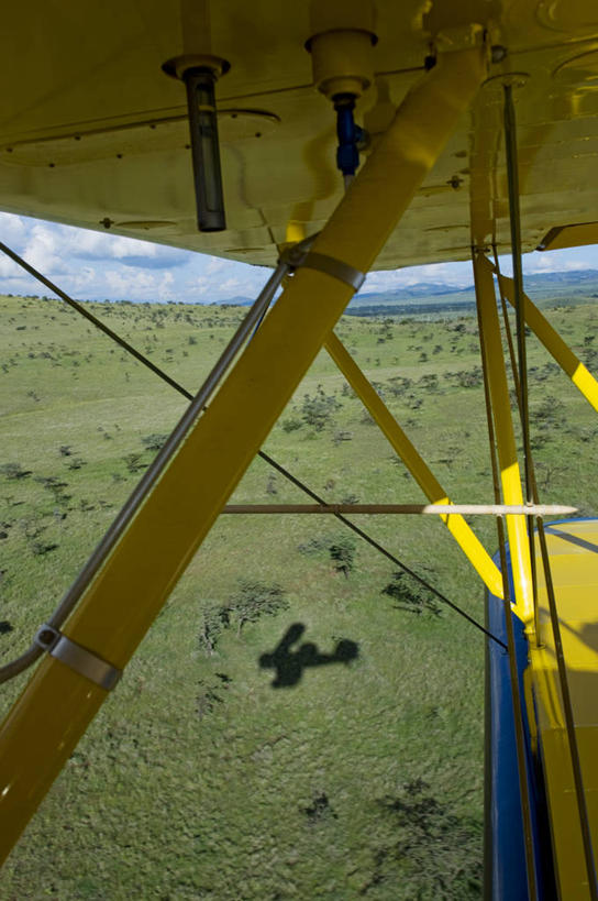 无人,竖图,天线,飞机,非洲,肯尼亚,交通,历史,航空,飞,交通工具,运输,摄影,载具,双翼机,冒险,彩图,旅行
