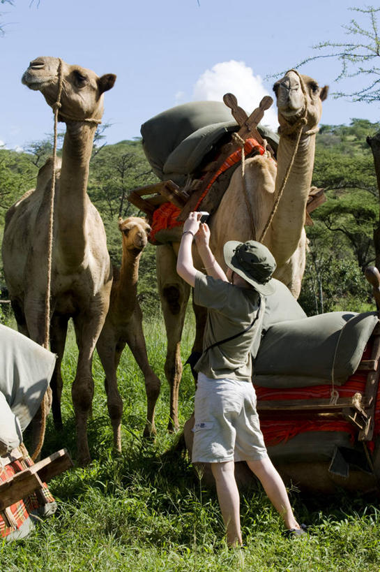 无人,竖图,室内,时尚,床,卧室,酒店,非洲,肯尼亚,摄影,服装店,彩图,旅行