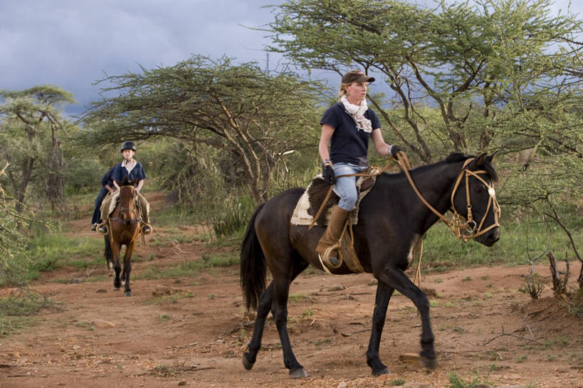 无人,横图,室外,山,山脉,植物,非洲,乌干达,苔藓,摄影,考古学,山脊,山口,彩图