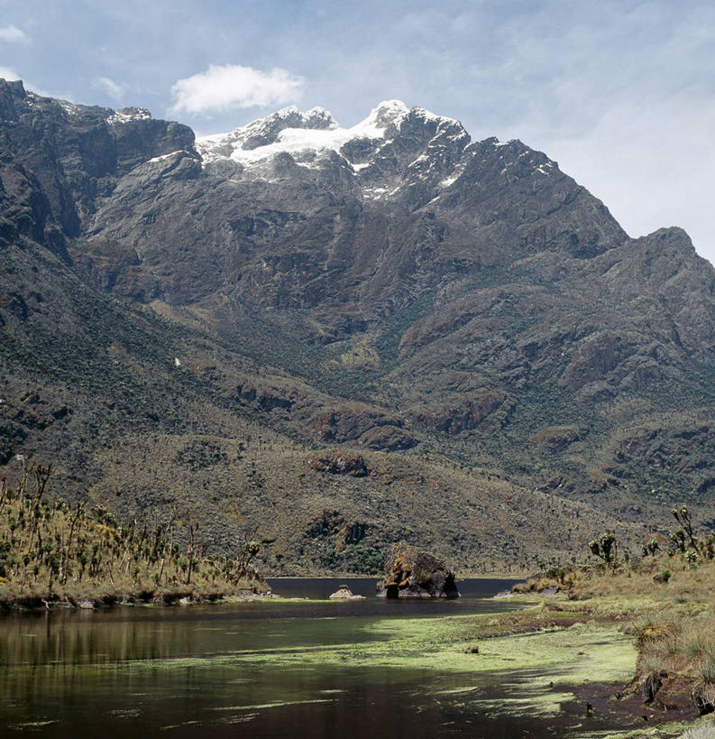无人,竖图,非洲,乌干达,摄影,彩图