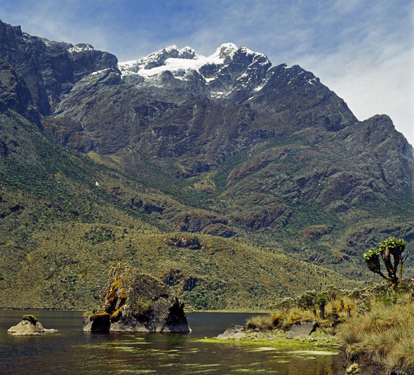 无人,竖图,非洲,乌干达,摄影,彩图