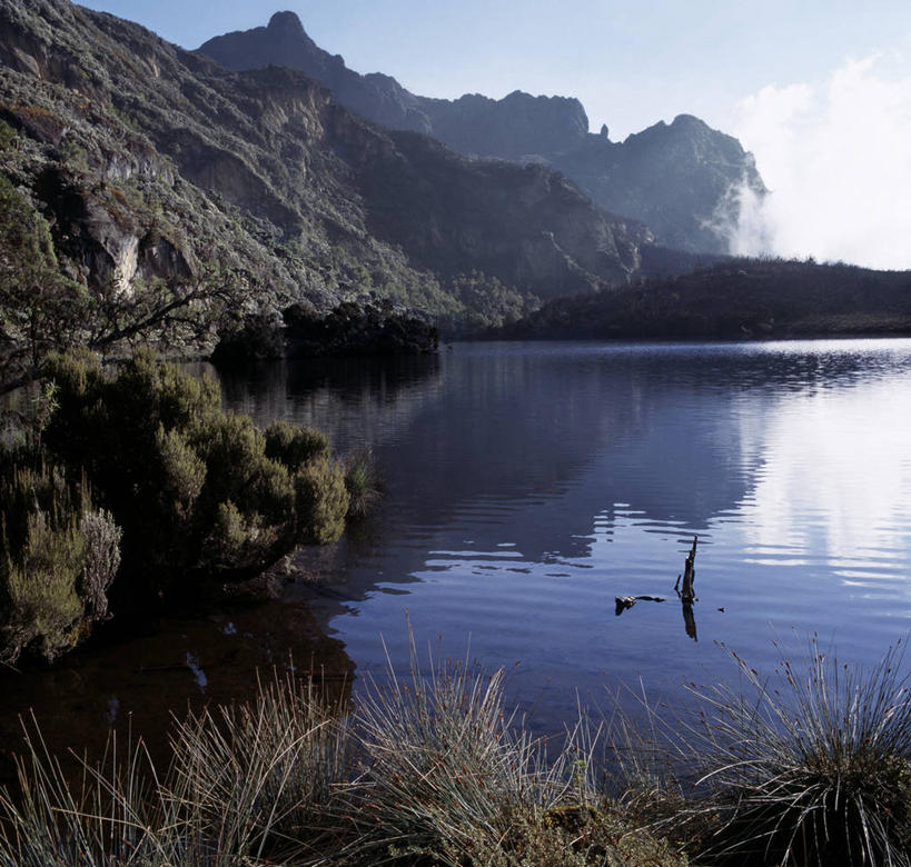 无人,横图,非洲,乌干达,苔藓,摄影,彩图
