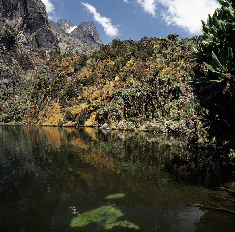 无人,横图,非洲,乌干达,苔藓,摄影,彩图