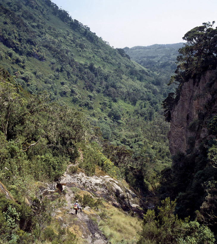 无人,竖图,室外,山,山脉,非洲,乌干达,地形,摄影,彩图