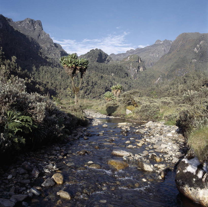 无人,横图,室外,非洲,乌干达,摄影,彩图,贝克尔山