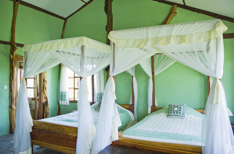 无人,横图,豹子,哺乳动物,野生动物,非洲,肯尼亚,捕食,动物,摄影,考古学,关爱,幼兽,金钱豹,印度豹,凶猛,文豹,金合欢树,残暴,凶残,猎豹,花豹,豹,彩图,旅行,马赛马拉国家保护区