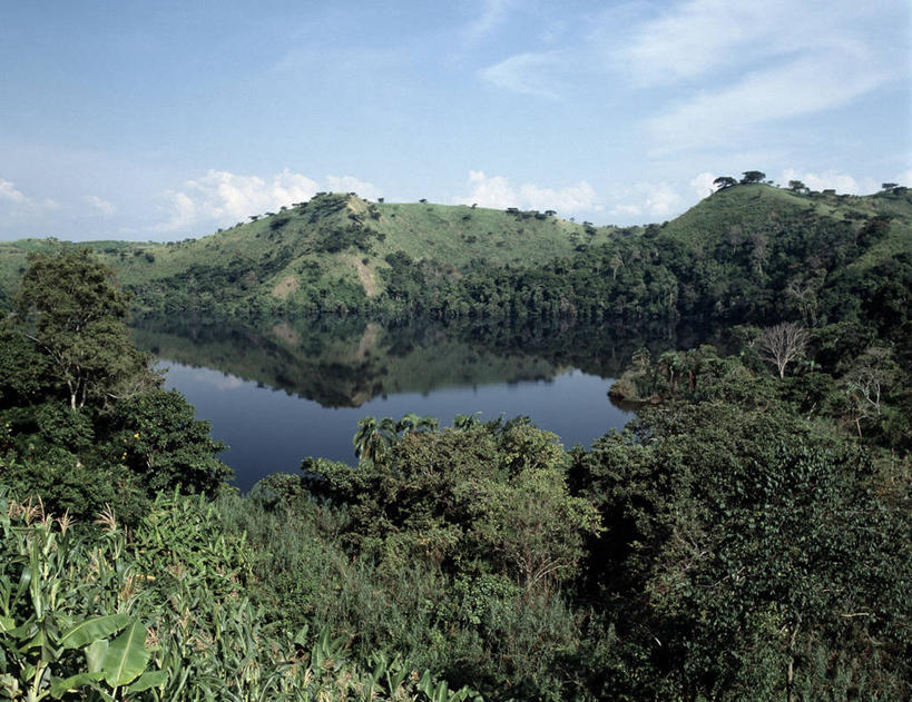 一个人,农民,微笑,竖图,室外,采摘,香蕉,水果,非洲,乌干达,工人,职业,摄影,货运,清新,运送,种植园,员工,彩图,匠人,劳动者,体力工