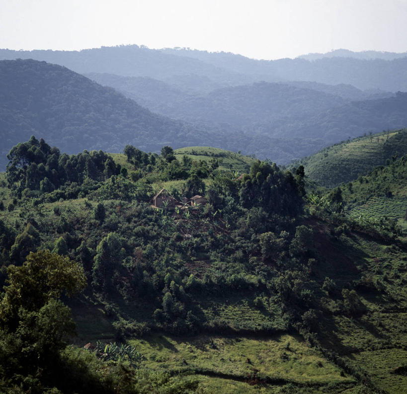 无人,家,横图,室外,森林,山,非洲,乌干达,房屋,屋顶,屋子,草屋,地形,顶棚,住宅,树,风景,茅草屋,翻滚,摄影,住房,彩图,房子,茅舍,茅屋,小屋