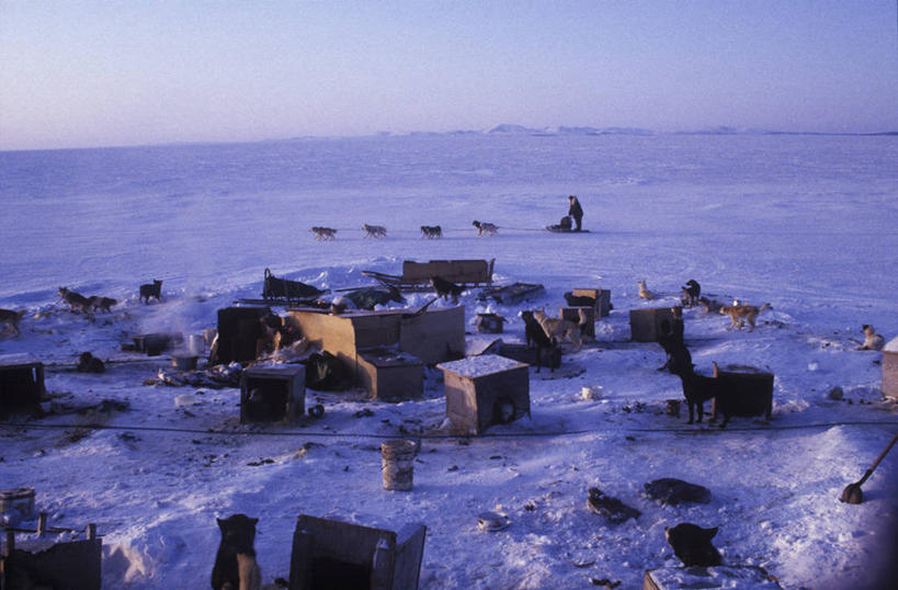 无人,横图,室外,山,山脉,雪,美国,冰,地形,山顶,摄影,山脊,麦金利峰,彩图,阿拉斯加山脉