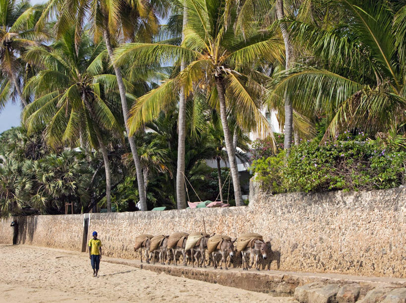 儿童,成年人,竖图,礼物,非洲,肯尼亚,长袍,白色,甜食,摄影,伊斯兰教,阿伦岛,男孩,男人,彩图,旅行