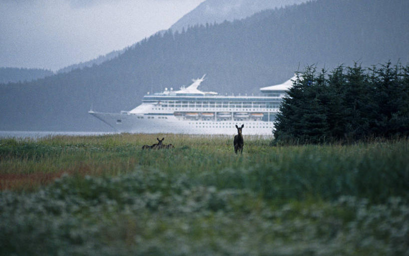 无人,横图,室外,度假,船,哺乳动物,野生动物,美国,漂浮,动物,邮轮,帆,摄影,国家公园,客船,驼鹿,母牛,冰河湾国家公园,彩图,旅行