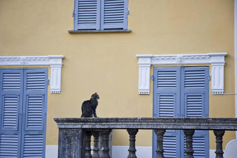 无人,家,横图,阳台,建筑,宠物,猫,意大利,欧洲,装饰,房屋,家畜,摄影,地中海文化,南欧,意大利共和国,利古里亚,利古里亚大区,彩图,旅行,拉斯佩齐亚省