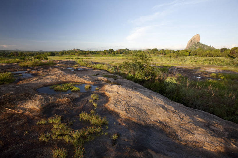 无人,横图,室外,森林,山,非洲,莫桑比克,地形,巨石,露头,摄影,花岗岩,早晨,岩层,岩石,彩图,旅行