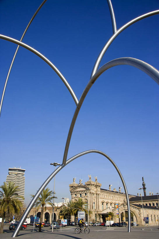 无人,横图,室外,野生动物,美国,鸟类,动物,春天,摄影,北美,彩图,太平洋潜鸟,繁殖季节,动物学,阿拉斯加山脉