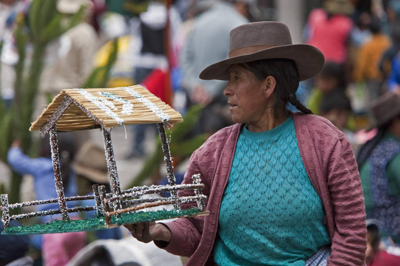 一个人,横图,室外,植物,秘鲁,花朵,南美,摄影,拉丁美洲,乌鲁班巴河谷,兰花,彩图,旅行,林区