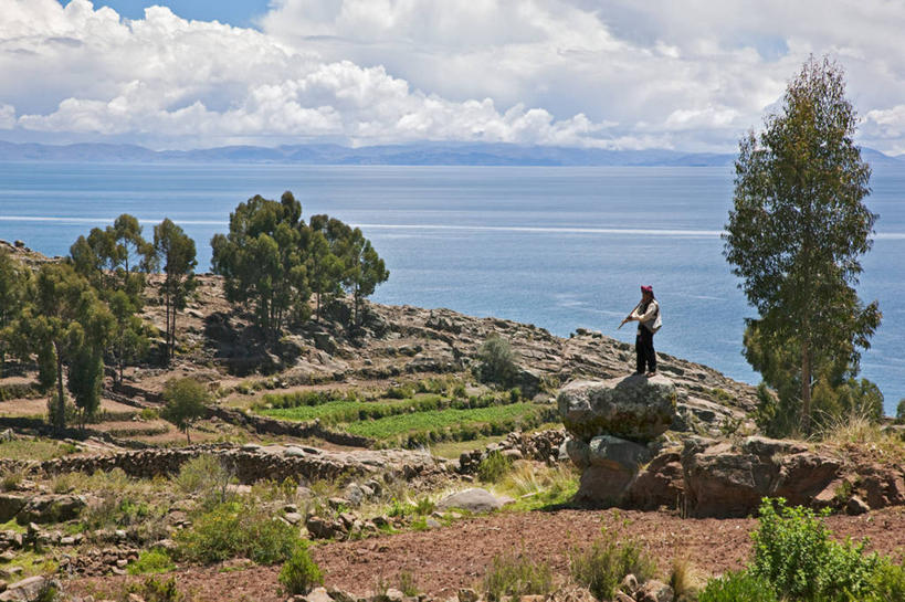 儿童,成年人,家庭,横图,彩色,火车,野生动物,刺绣,秘鲁,骆驼,动物,南美,可爱,摄影,活泼,五颜六色,羊毛,色彩斑斓,拉丁美洲,羊驼,五彩缤纷,客车,沙漠之舟,五彩斑斓,驼羊,美洲驼,五光十色,女孩,女人,彩图,传统服装,旅行,传统文化