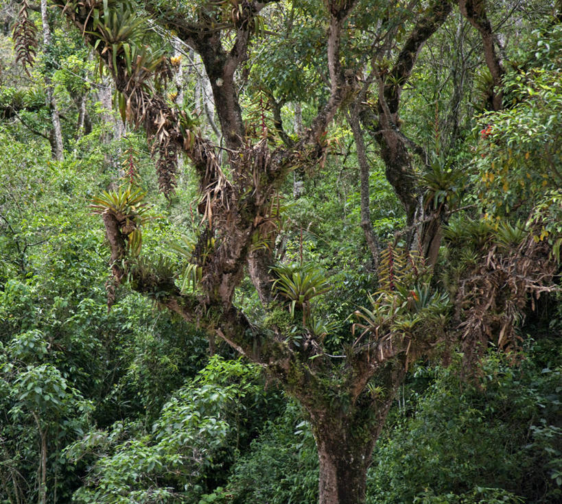 成年人,头发,无人,微笑,横图,快乐,帽子,秘鲁,红色,南美,摄影,麻花辫,拉丁美洲,乌鲁班巴河谷,女人,彩图,传统服装,旅行,传统文化