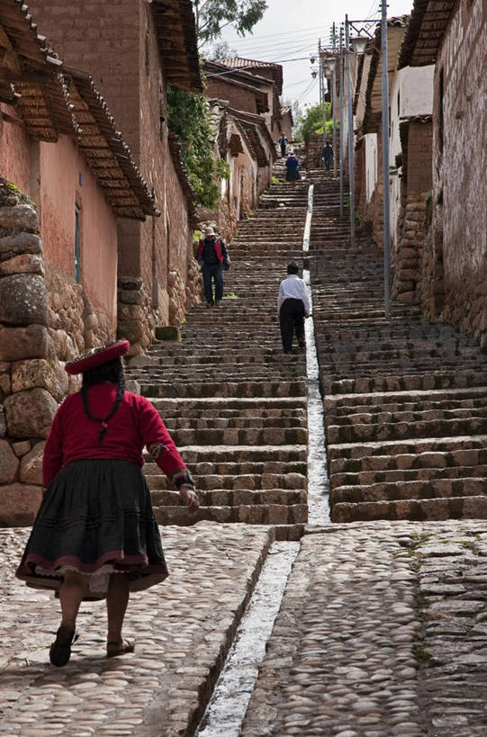 横图,野生动物,蜥蜴,秘鲁,鬣蜥,动物,地标建筑,南美,摄影,拉丁美洲,石龙子,马丘比丘,泉龙,猪婆蛇,四脚蛇,蜴,彩图,旅行,联合国教科文组织