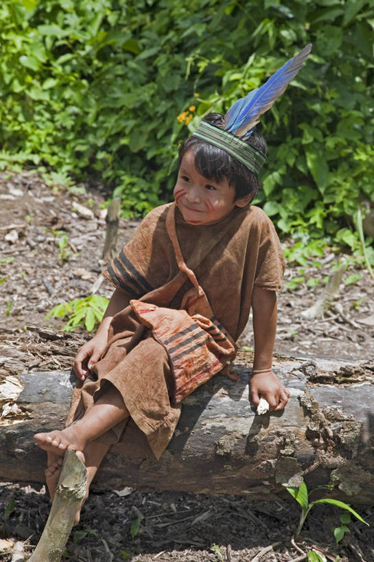 一个人,竖图,室外,森林,野生动物,亚马逊河,秘鲁,褐色,动物,南美,摄影,拉丁美洲,热带雨林,刺豚鼠,彩图,旅行,林区,雨林