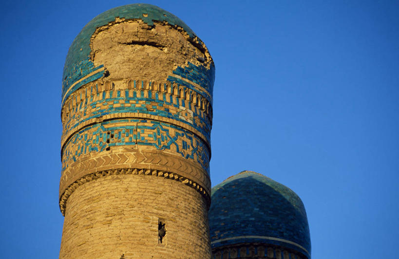 无人,横图,室外,野生动物,亚马逊河,秘鲁,鸟类,树,南美,摄影,拉丁美洲,热带雨林,彩图,旅行,林区,雨林