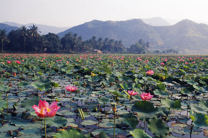 无人,横图,彩色,室外,渔业,水,越南,摄影,东南亚,五颜六色,色彩斑斓,五彩缤纷,芽庄,五彩斑斓,印度支那,五光十色,庆和省,彩图,海港,河口