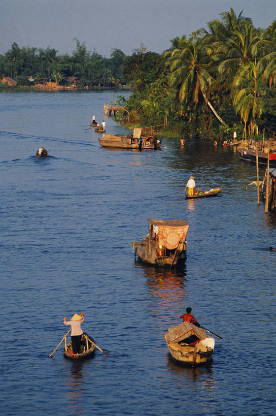 竖图,室外,商务,河流,水,船,越南,漂浮,运输,摄影,东南亚,印度支那,商人,彩图,湄公河三角洲