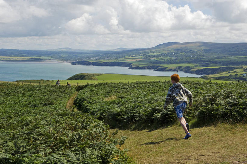 儿童,一个人,跑,横图,室外,旅游,度假,纯洁,英国,仅一个男性,仅一个人,行人,游客,游人,娱乐,路人,旅客,小孩,仅一个小孩,享受,休闲,放松,可爱,童年,童趣,摄影,威尔士,童真,烂漫,无邪,北海,欧洲蕨,过客,彭布罗克郡,天真,男孩,男人,男性,孩子,海滩,步行,彩图,男生