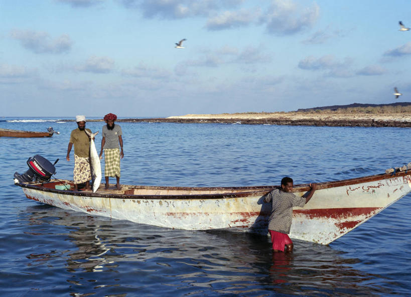 无人,横图,也门,食品,鱼类,摄影,印度洋,群岛,海产,彩图,阿拉伯海