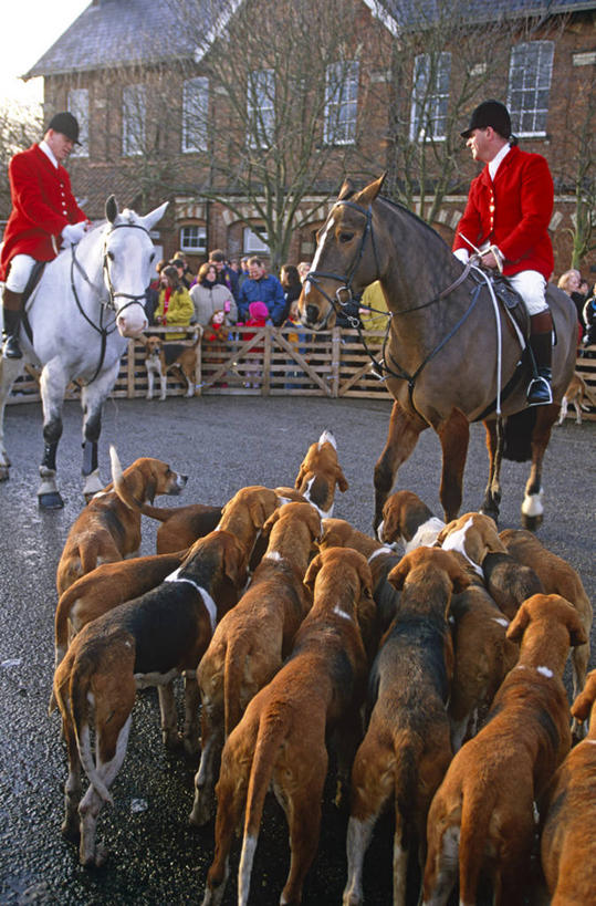 两个人,竖图,室外,锻炼,快乐,比赛,运动,竞争,美景,狗,英国,欧洲,圣诞节,景观,娱乐,英格兰,自然,休闲,家畜,景色,摄影,体育运动,西欧,自然风光,北约克郡,体育,休闲活动,彩图,健身,旅行,小猎犬,传统文化