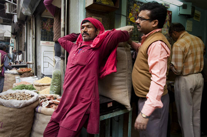 无人,横图,室外,植物,也门,树,摄影,印度洋,群岛,彩图