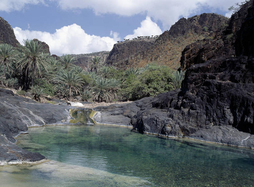 无人,横图,室外,河流,也门,树,小溪,摄影,印度洋,海枣树,群岛,彩图