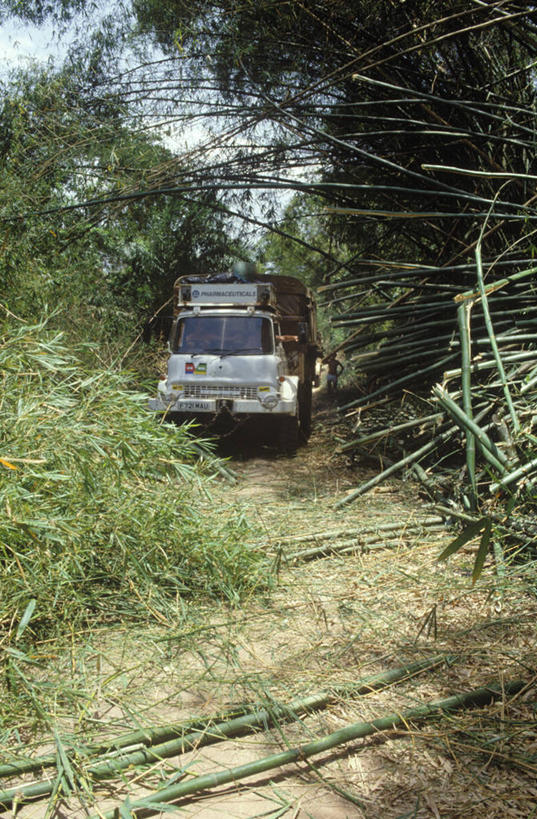 无人,竖图,俯视,航拍,室外,彩虹,海浪,瀑布,水,非洲,津巴布韦,赞比亚,喷,飞溅,宏伟,摄影,碰撞,鸟瞰,沟壑,赞比西河,维多利亚瀑布,彩图,高角度拍摄,骚乱